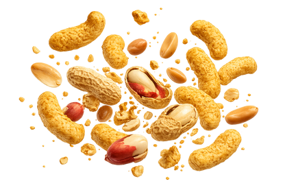 Protein Flips | Peanut Crunch